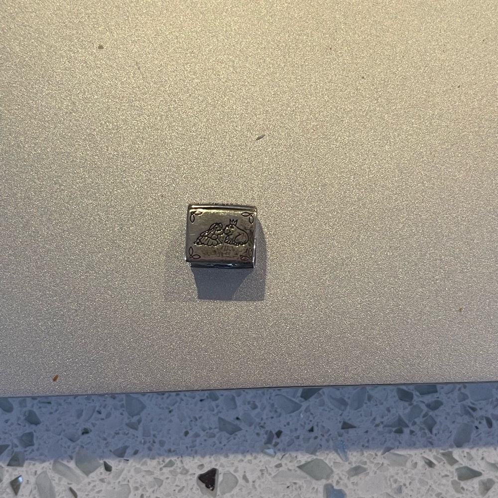 Pandora Charm